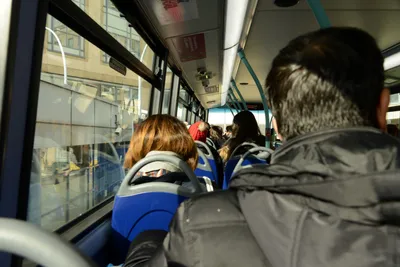 DSC_1361 (Large).JPG